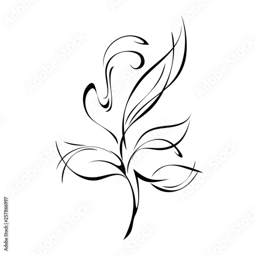 Fototapeta Naklejka Na Ścianę i Meble -  stylized twig with leaves and curls in black lines on a white background
