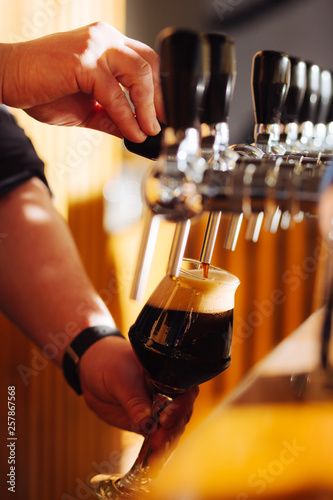 Close up of professional barman pouring dark beer into glass