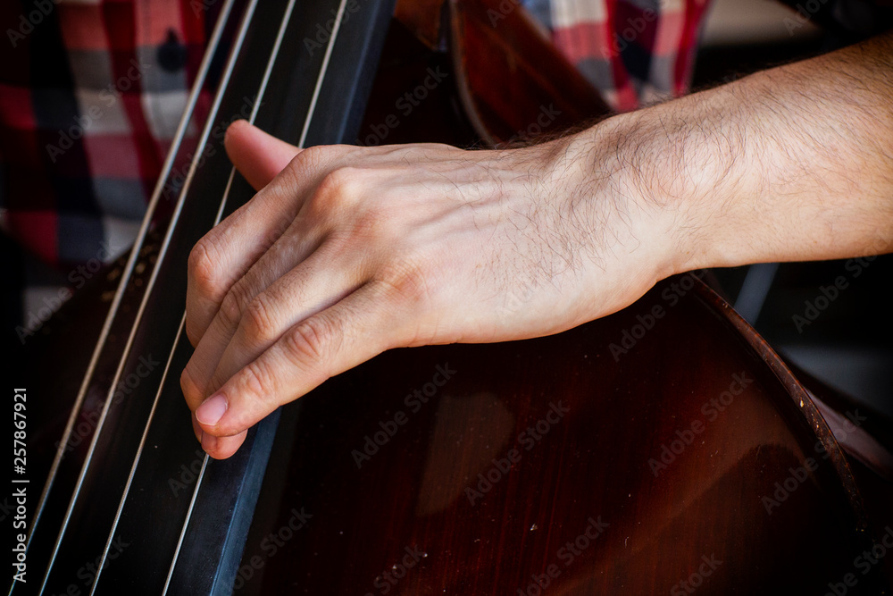 Hand of a musician playing on a contrabass closeup Hand of a musician playing on a contrabass closeup