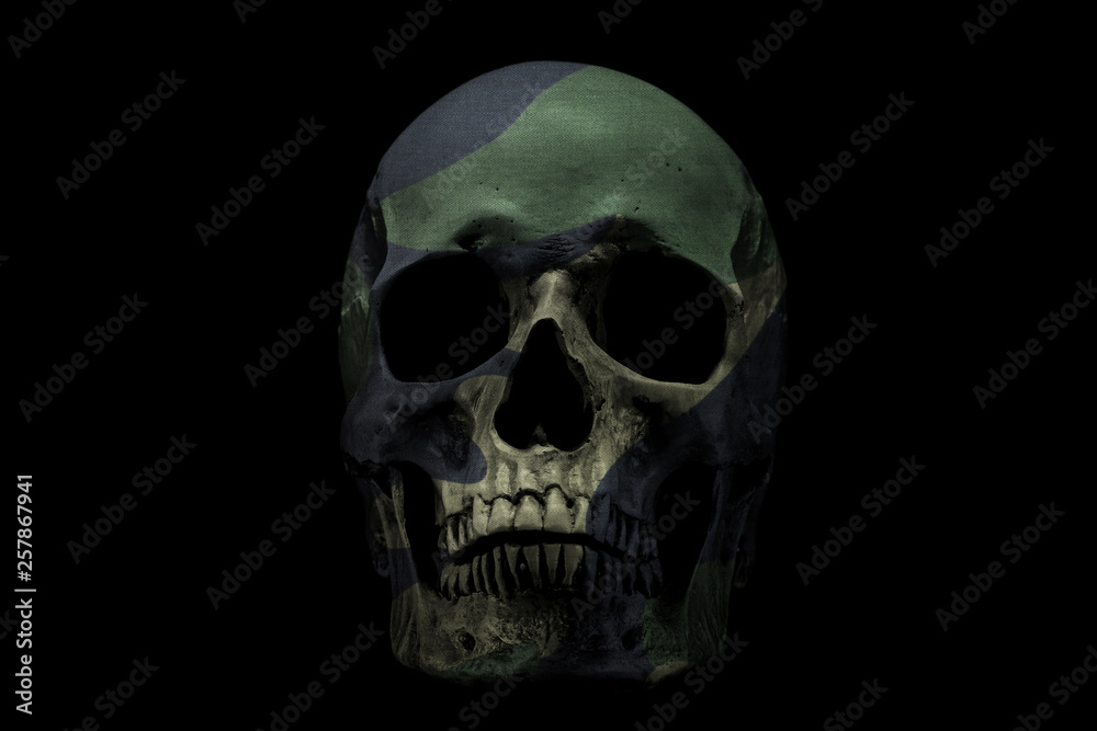Front side view of human skull on isolated black background. Camouflage color skull Front side view of human skull on isolated black background. Camouflage color skull