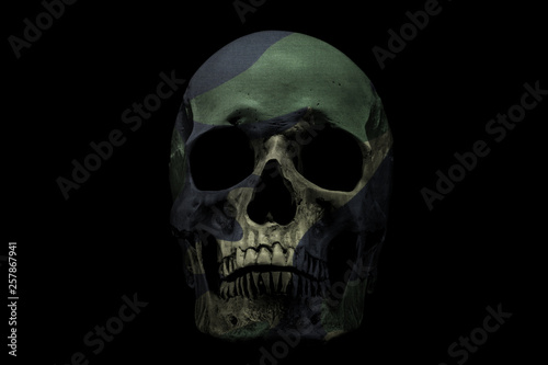 Front side view of human skull on isolated black background. Camouflage color skull