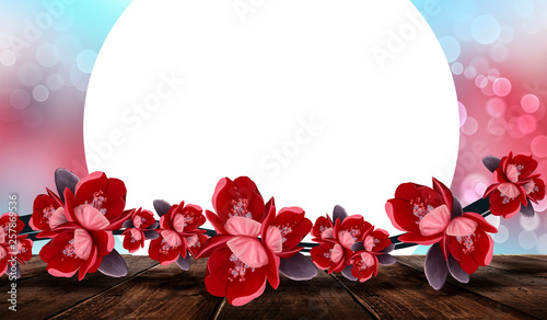 Spring wooden table with a ...