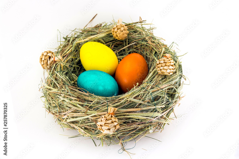 colored easter eggs in grass nest with bumps colored easter eggs in grass nest with bumps