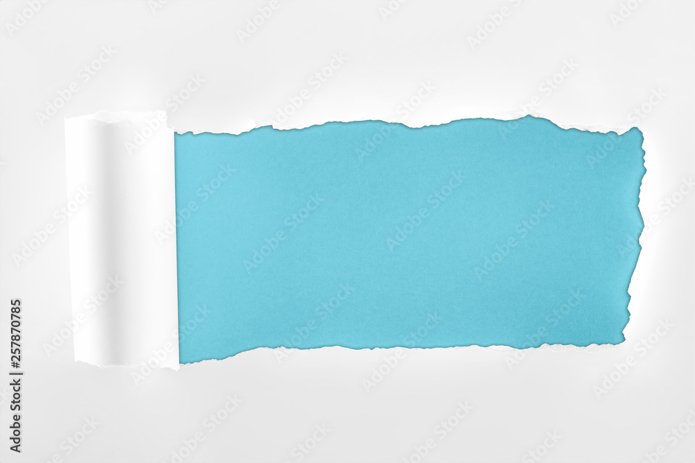 ripped textured white paper with rolled edge on blue background ripped textured white paper with rolled edge on blue background