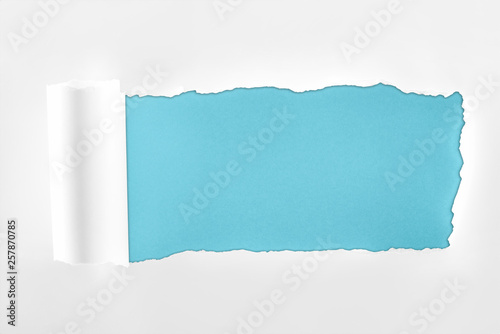 Wallpaper Mural ripped textured white paper with rolled edge on blue background Torontodigital.ca