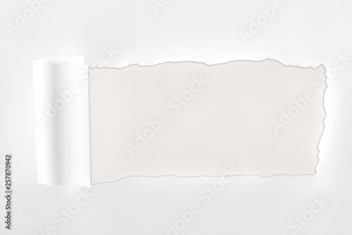 Wallpaper Mural ripped textured white paper with rolled edge on white background Torontodigital.ca
