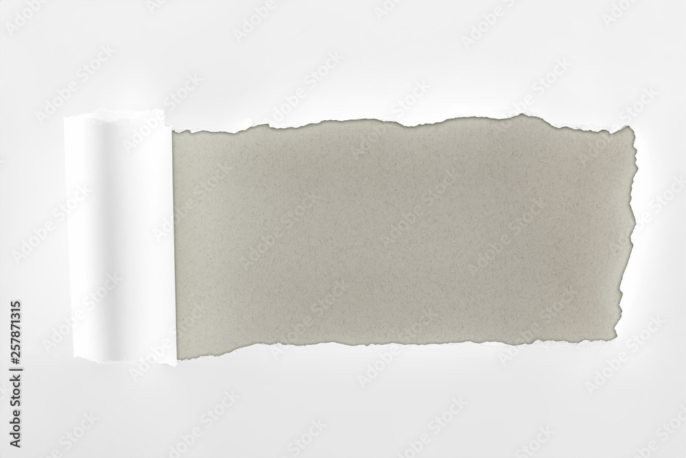 tattered textured white paper with rolled edge on grey background