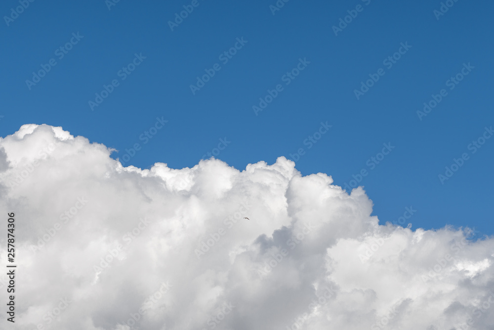 Curly air clouds in the blue sky for background. Curly air clouds in the blue sky for background.