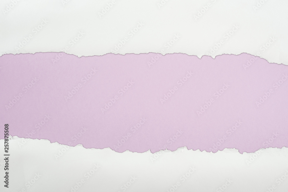 ripped white textured paper with copy space on light purple background