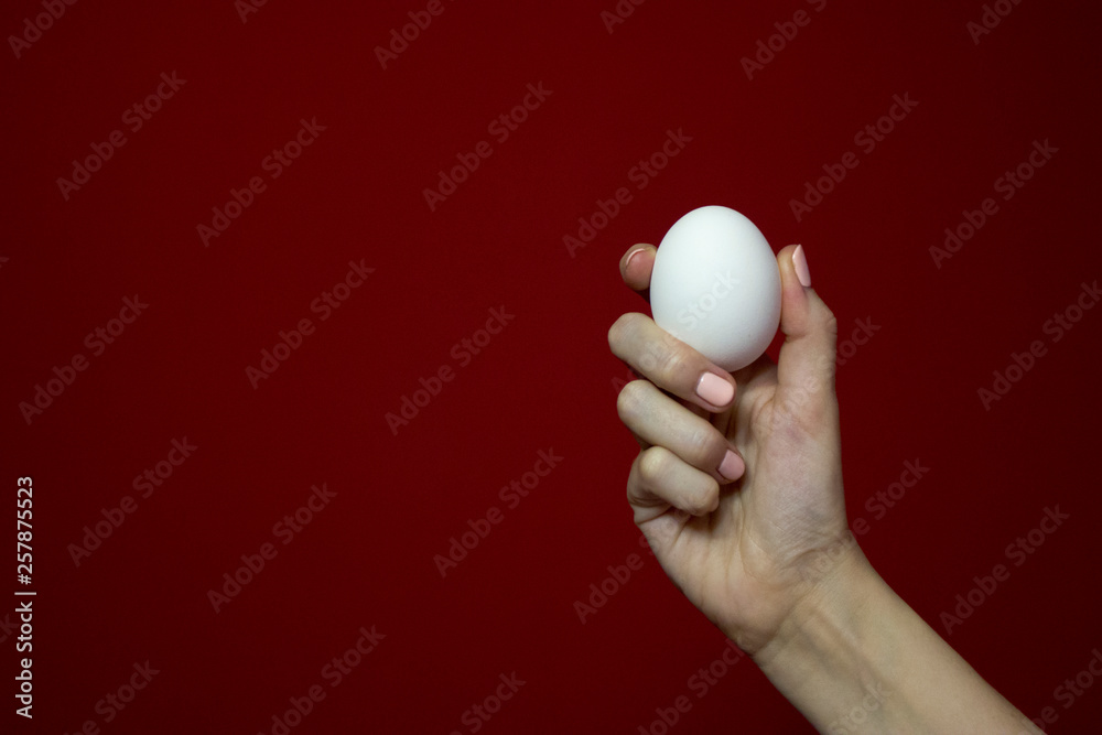 Woman's hand holding white chicken egg on red background preparing for Easter Woman's hand holding white chicken egg on red background preparing for Easter