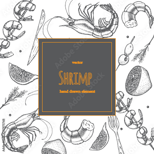 Set of shrimps. Hand drawn illustrations.Seafood concept on white background. Hand drawn boil prawn or shrimp. Background template for design. Can be use for menu, packaging.