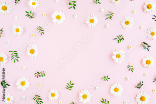 Frame made of chamomiles, petals, leaves on pink background. Flat lay, top view