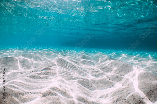 Tropical blue ocean with white sand underwater in Hawaii photo