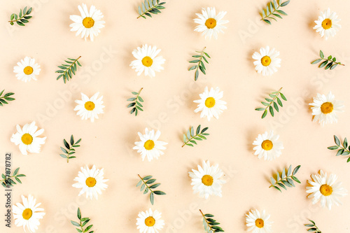 Pattern made of chamomiles, petals, leaves on beige background. Flat lay, top view floral background.