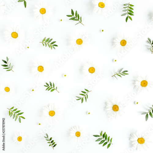 Pattern made of chamomiles, petals, leaves on white background. Flat lay, top view floral background.