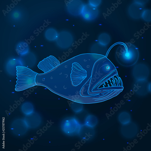Hand drawn sketch Angler Fish, marine animals
