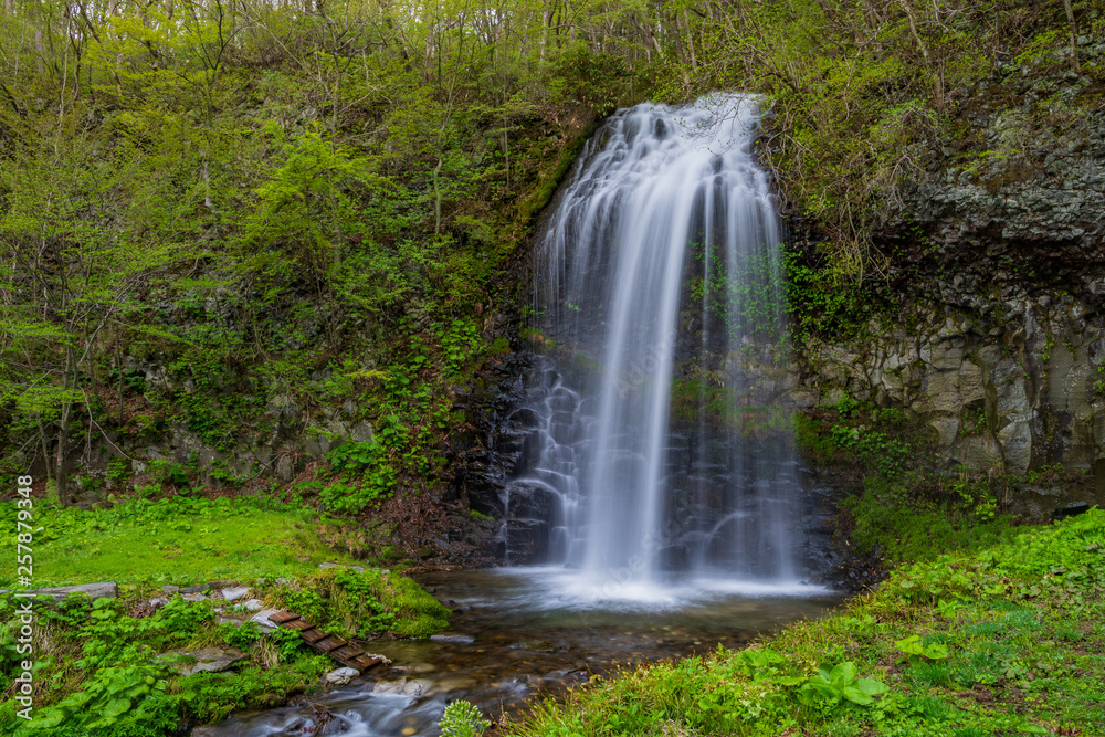 The fresh green of Akita Prefecture Oyu