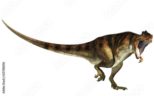 Giganotosaurus  one of the largest known terrestrial carnivores  was a carcharodontosaurid theropod dinosaur. Here is one with an open mouth.  This one is brown with black stripes. 3D Rendering. 