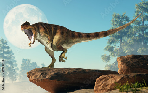 Giganotosaurus  one of the largest known terrestrial carnivores  was a carcharodontosaurid theropod dinosaur. Here it stands on a rock before full moon with an open mouth. 3D Rendering. 