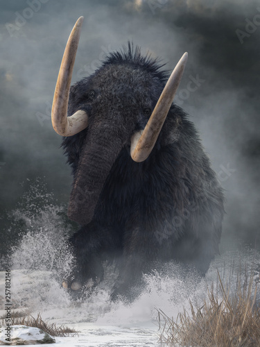 A raging mammoth charges at you. Crashing through the ice age snow, this pleistocene beast raises its huge tusks as it lunges forward. 3D Rendering