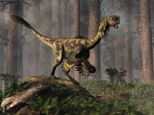 Fototapeta Naklejka Na Ścianę i Meble -  Citipati was a oviraptor theropod, a bird-like dinosaur that lived during the Cretaceous period in Asia.  This one is in a jungle. 3D Rendering