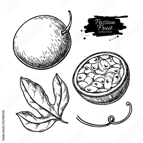 Passion fruit vector drawing set. Hand drawn tropical food illustration. Engraved summer passionfruit.