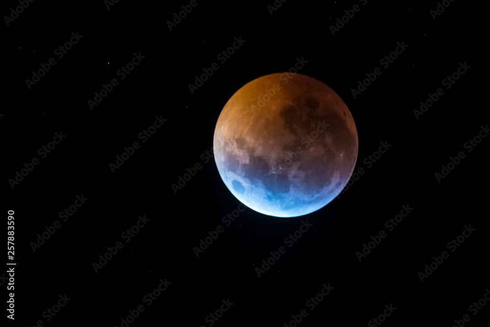Obraz premium Blood moon, eclipse seen from, La Pampa,January 21, 2019 Argentina