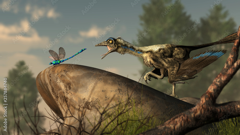 An archaeopteryx, a Jurassic era theropod dinosaur that looked much