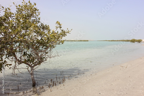 LA SPIAGGIA DI SBY SIR BANY ISLAND