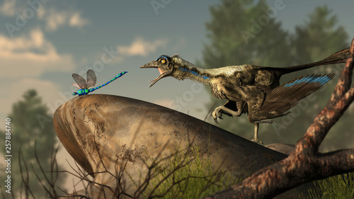 An archaeopteryx, a Jurassic era theropod dinosaur that looked much like a bird, lunges at a dragonfly at the end of a smooth river stone. 3D Rendering  © Daniel Eskridge