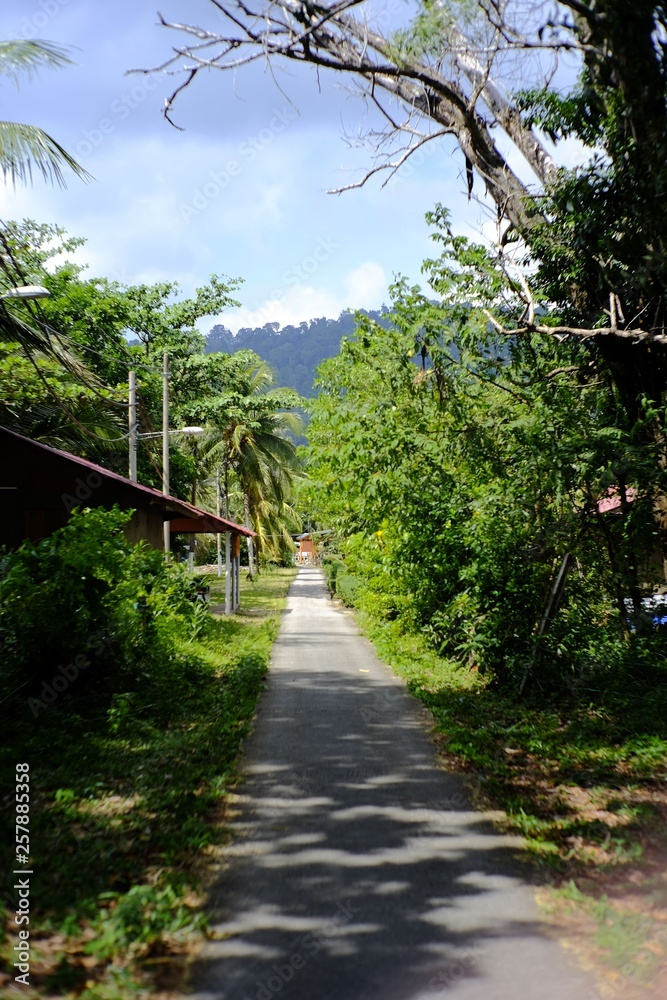 quiet tropical path