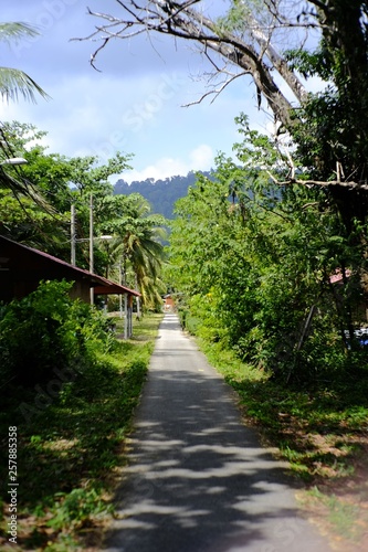 quiet tropical path