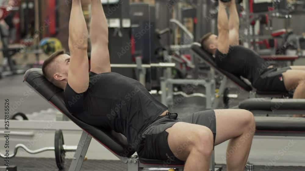 Athletic Young Man Doing Exercises For The Muscles With Dumbbells. Athletic Young Man Doing Exercises For The Muscles With Dumbbells.