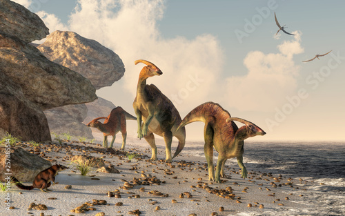 Three parasaurolophus stand on a rock beach.  Pterasaurs fly over head and a small mammal watches the dinosaurs as they meander along the water's edge. 3DRendering photo