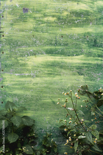 Wild vegetation and green metallic wall photo