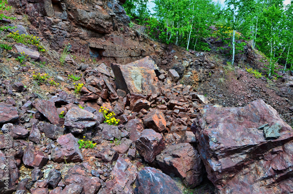 Ural mountains are rich in minerals. Here are concentrated the largest deposits of Jasper. Sometimes interesting stones just lie under your feet. Ural mountains are rich in minerals. Here are concentrated the largest deposits of Jasper. Sometimes interesting stones just lie under your feet.