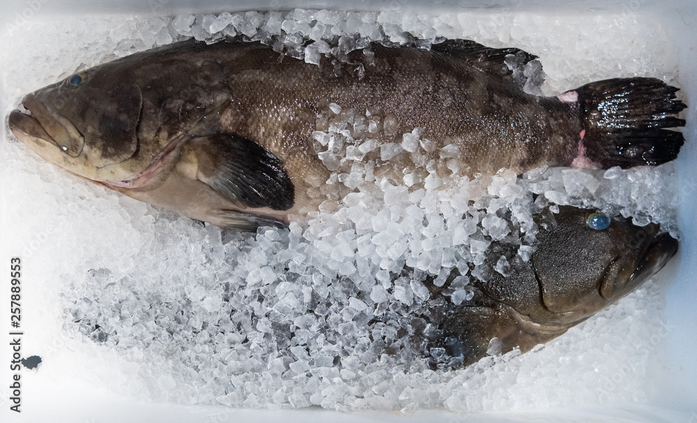 Obraz premium Seafood on ice at the market.
