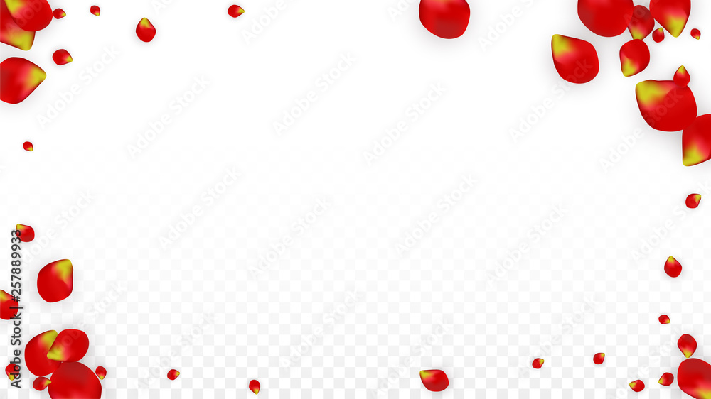 Vector Realistic Red Rose Petals Falling on Transparent Background.  Romantic Flowers Illustration. Flying Petals. Sakura Spa Design. Blossom Confetti. Design Elements for Wedding Decoration.