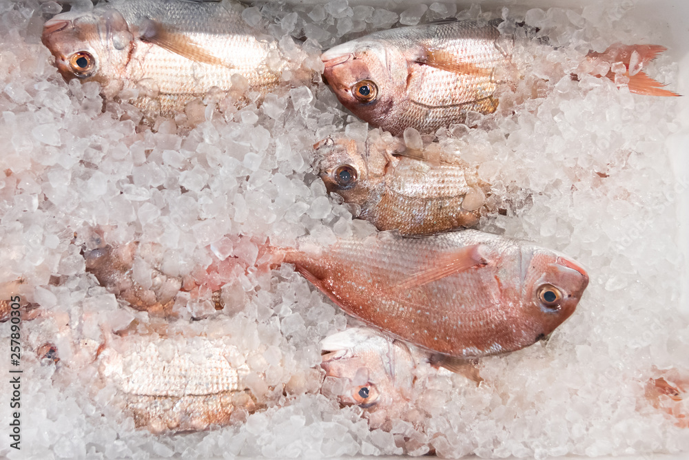 Seafood on ice at the market. Seafood on ice at the market.