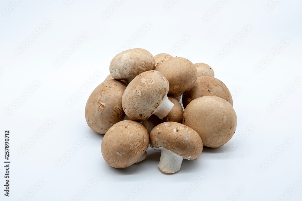 brown mushrooms, isolated on white background brown mushrooms, isolated on white background
