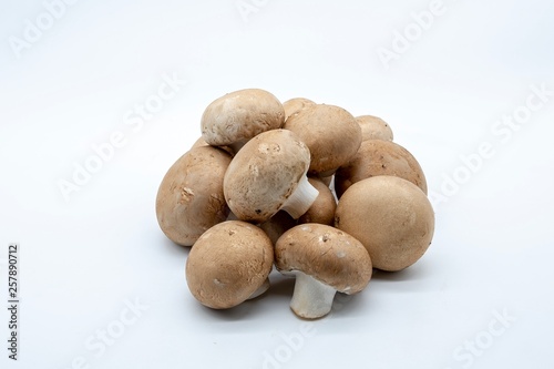 brown mushrooms  isolated on white background