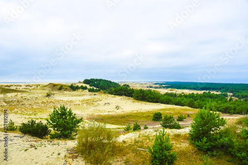 deserted sandy landscape with greenery trees and woods weather sky