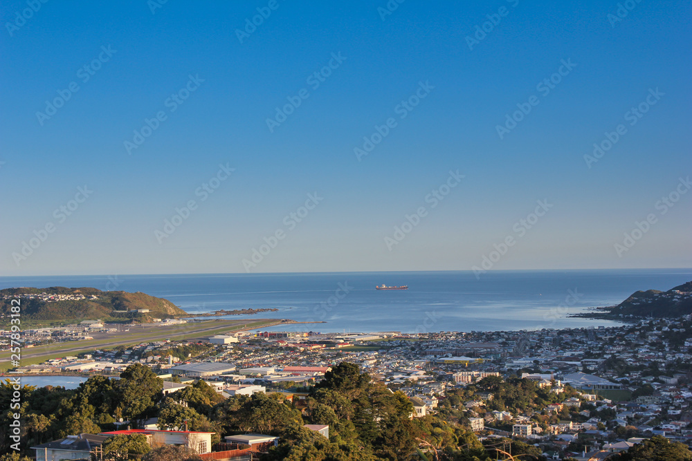 Mount Victoria lookout, beautiful wellington city view with cargo ship sailing in the blue ocean in the background. 