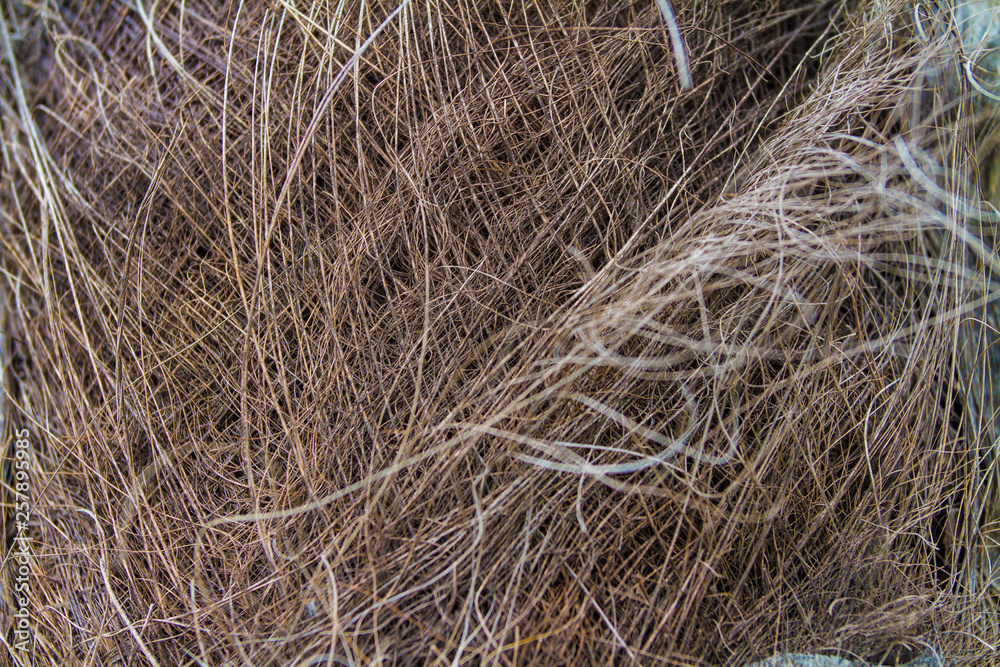 background of straw background of straw