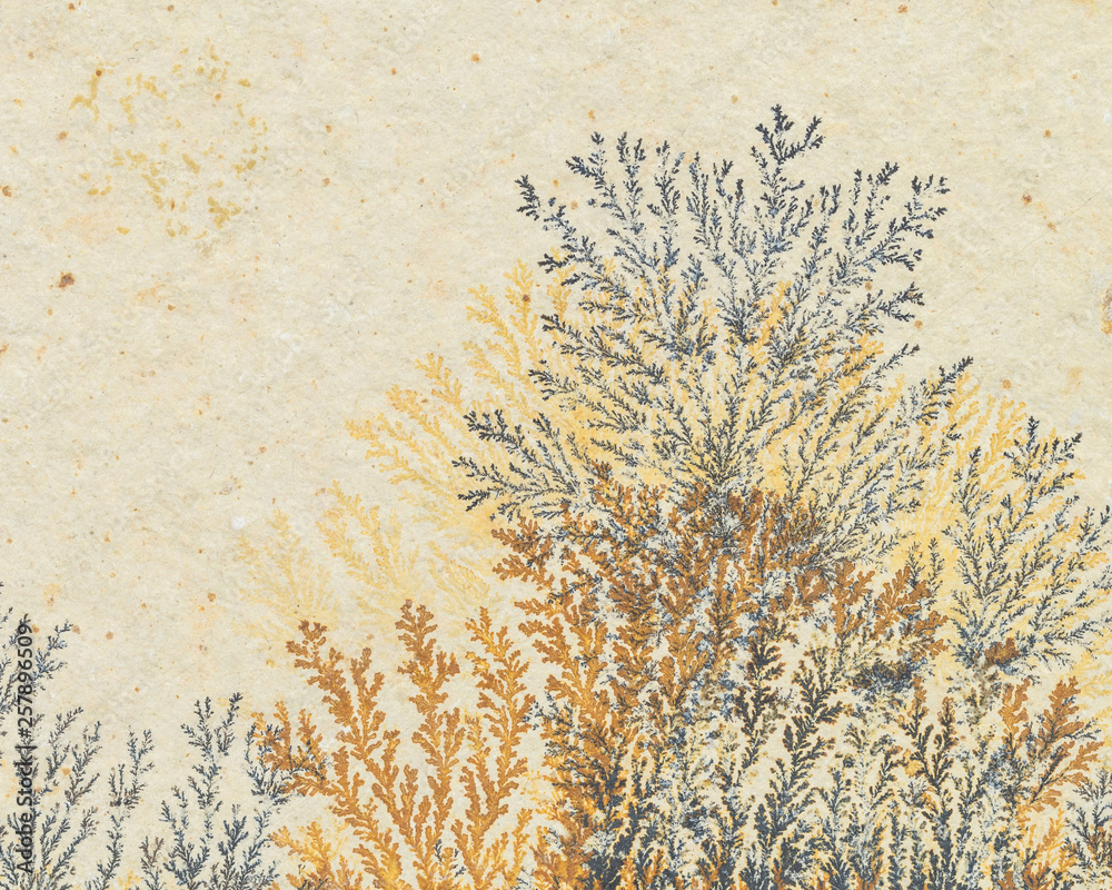 Fototapeta premium Iron and Manganese dendrites on limestone from Salzburg, Austria
