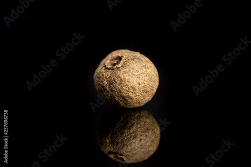 One whole dry brown allspice berries isolated on black glass