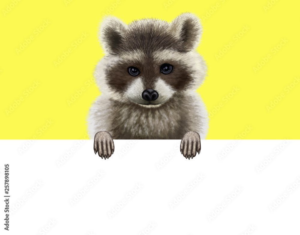 Plakat Raccoon on a yellow background holding a white billboard