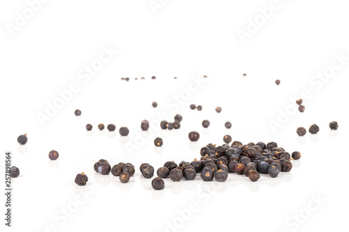 Lot of whole dry juniper berry seed isolated on white background