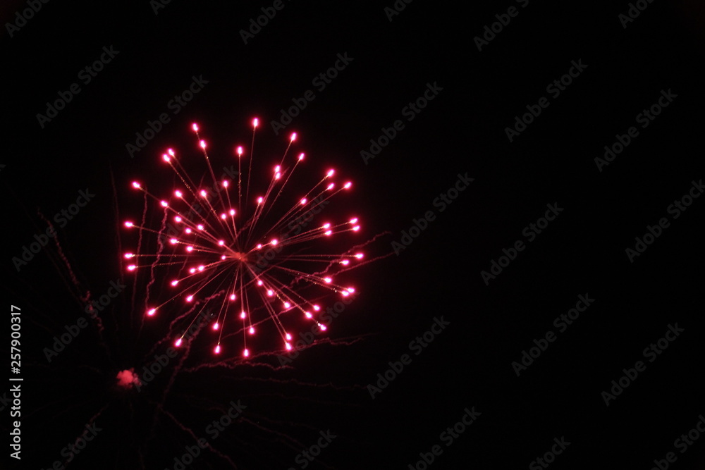 fireworks flower in the sky