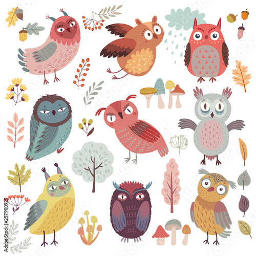 Cute Woodland owls. Funny characters with different mood. Vector illustration.
